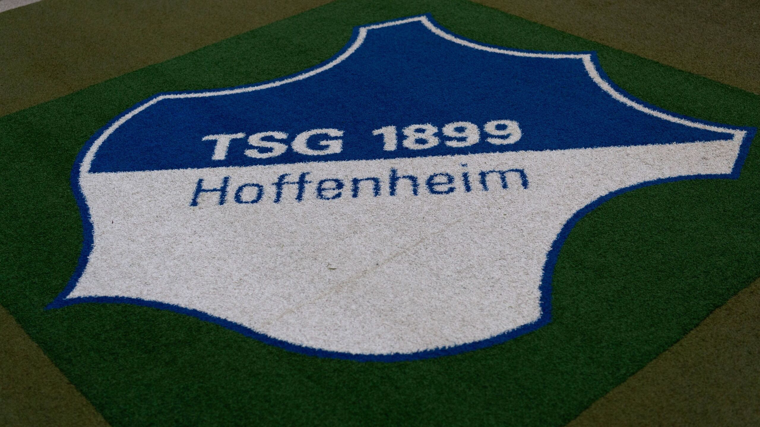 Henssler kann aktuell bei der TSG nicht kandidieren GOALRADAR