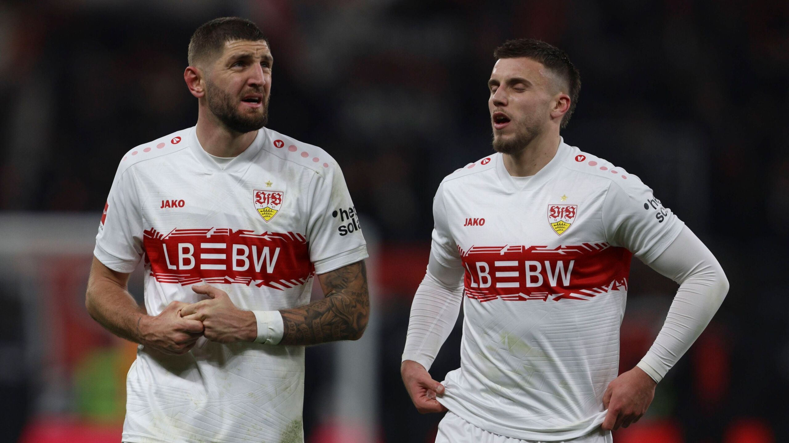 Undav nur der Anfang Wer verlängert als Nächstes beim VfB GOALRADAR